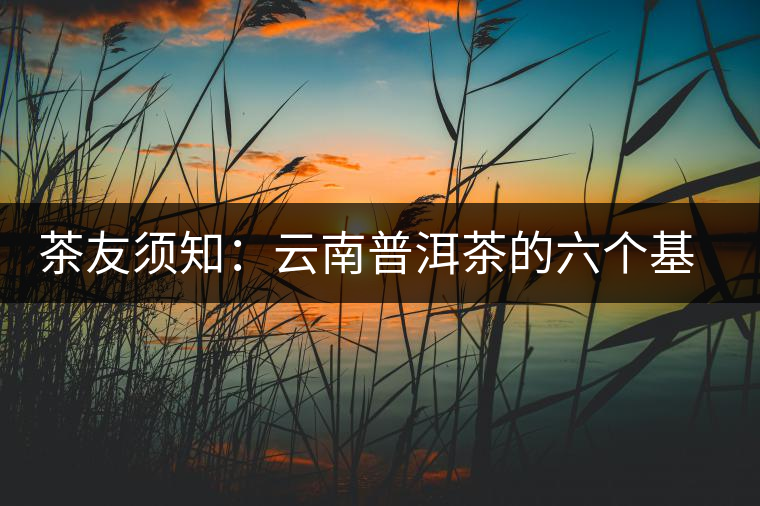 茶友須知:云南普洱茶的六個(gè)基本問題 茶友須知:云南普洱茶的六個(gè)基本問題
