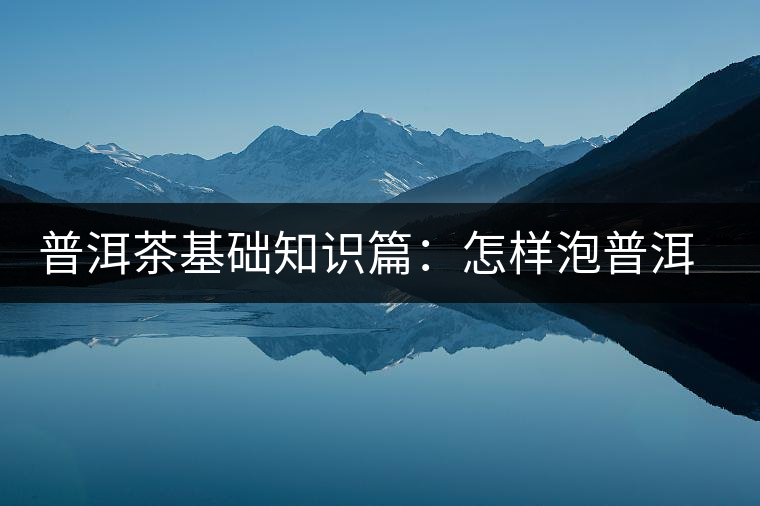 普洱茶基礎知識篇：怎樣泡普洱茶才會更好喝？