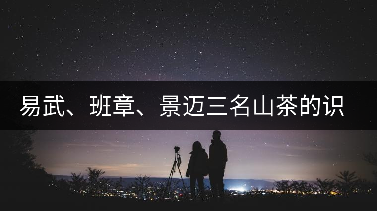 易武、班章、景邁三名山茶的識別
