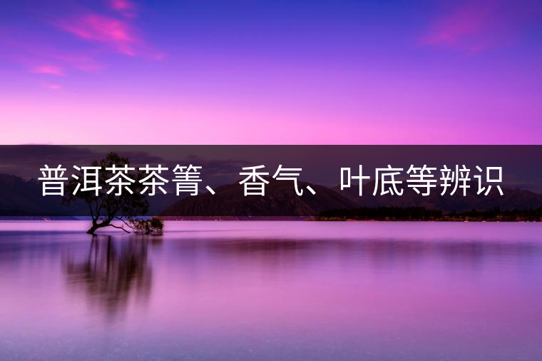 普洱茶茶箐、香氣、葉底等辨識(shí)