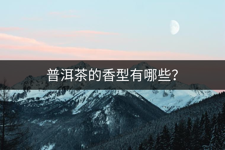 普洱茶的香型有哪些？