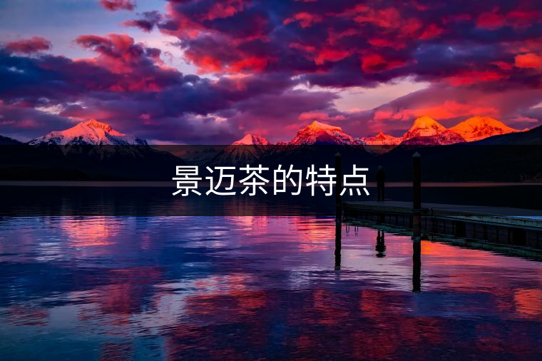 景邁茶的特點 景邁茶的特點