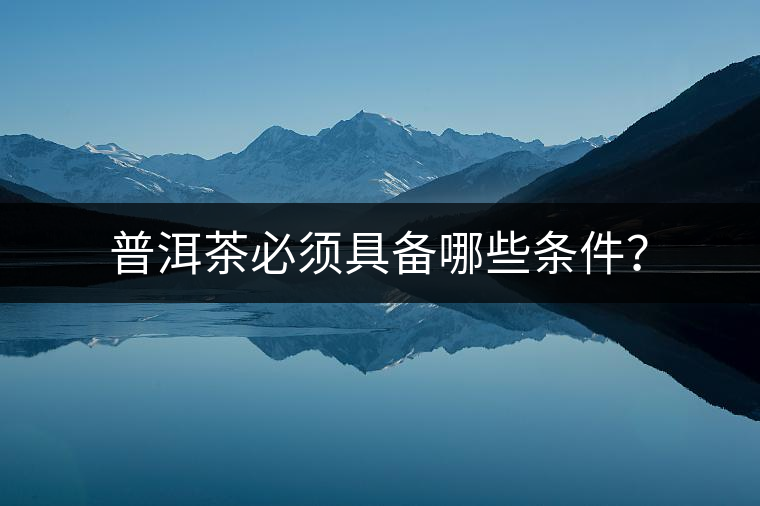 普洱茶必須具備哪些條件？