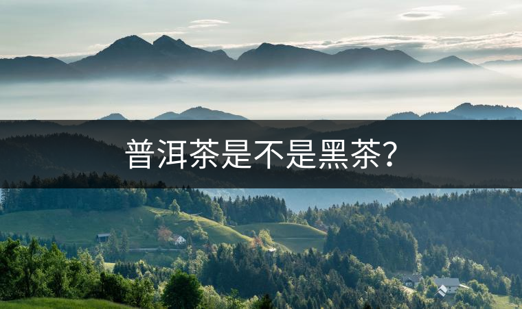 普洱茶是不是黑茶？