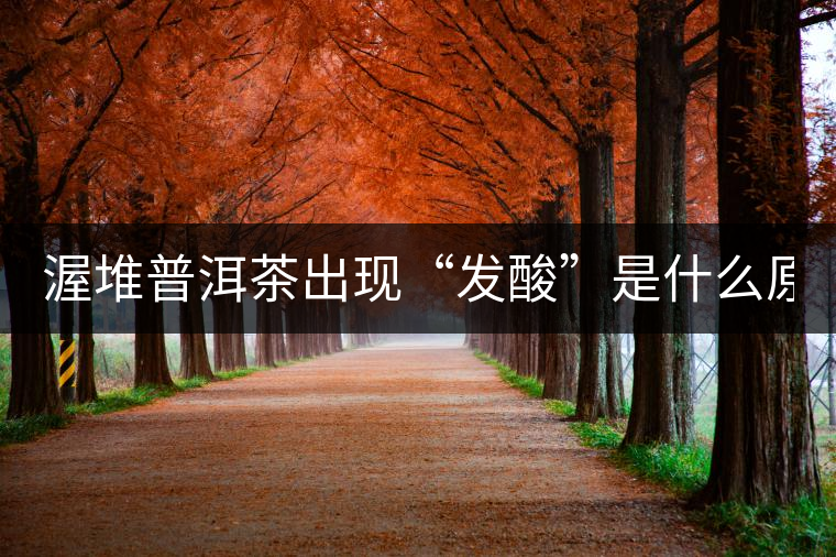 渥堆普洱茶出現(xiàn)“發(fā)酸”是什么原因？