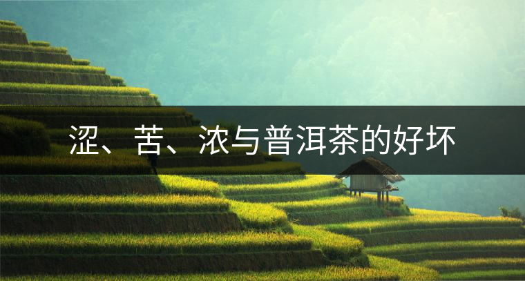 澀、苦、濃與普洱茶的好壞