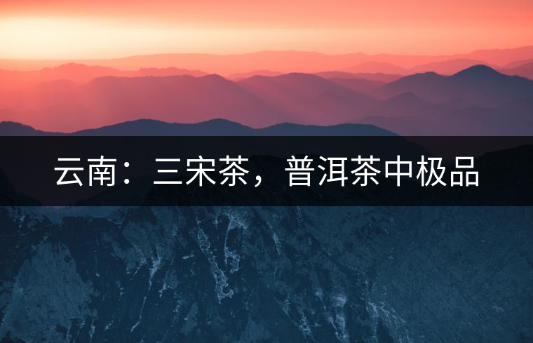 云南：三宋茶，普洱茶中極品