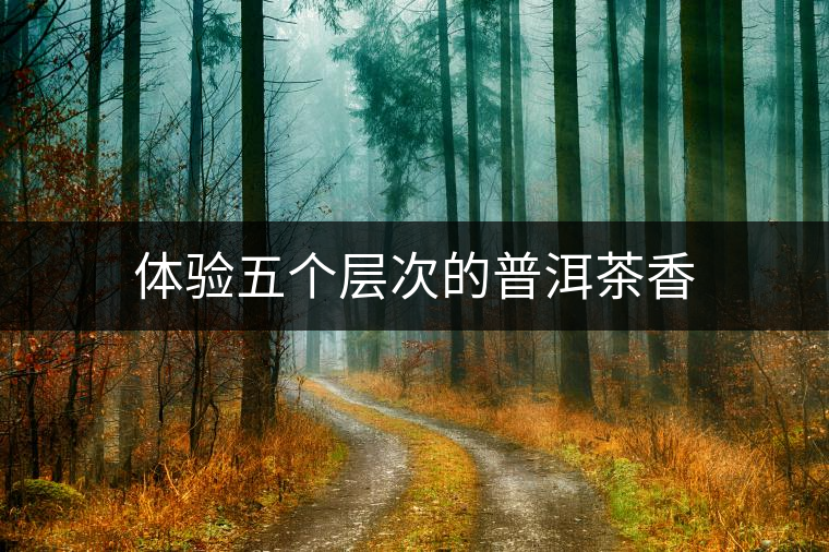 體驗(yàn)五個(gè)層次的普洱茶香