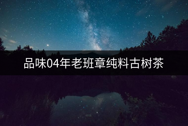 品味04年老班章純料古樹(shù)茶