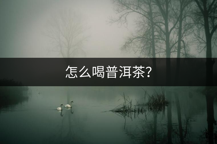 怎么喝普洱茶？
