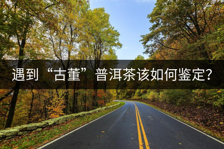 遇到“古董”普洱茶該如何鑒定？