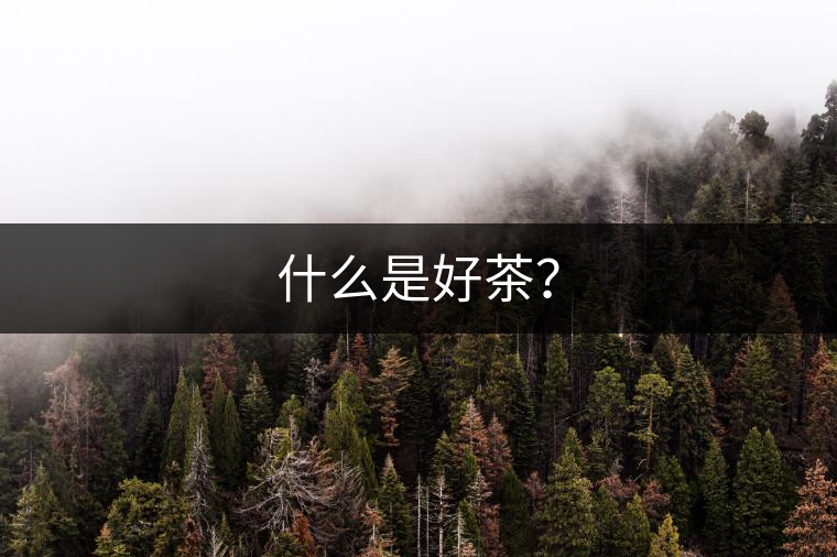 什么是好茶？