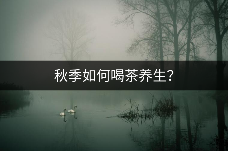 秋季如何喝茶養(yǎng)生？