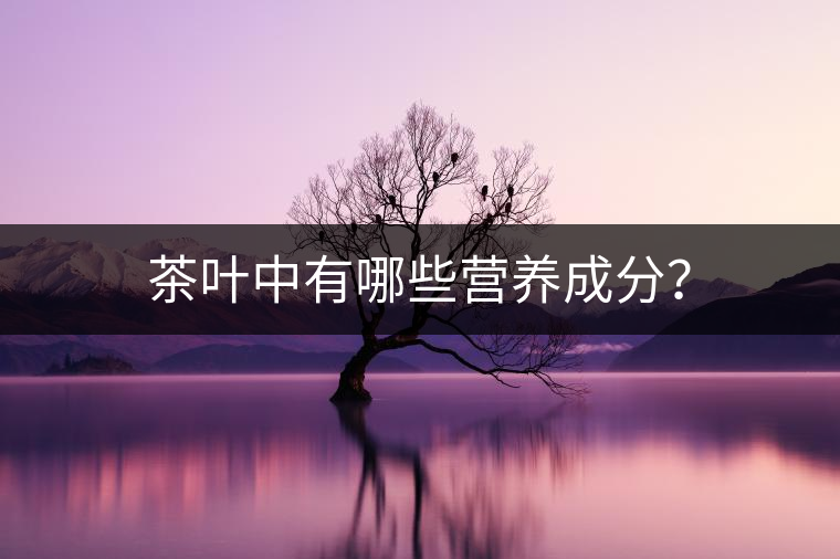茶葉中有哪些營(yíng)養(yǎng)成分？