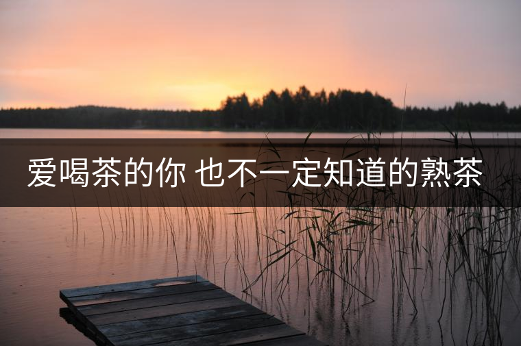 愛喝茶的你 也不一定知道的熟茶知識！