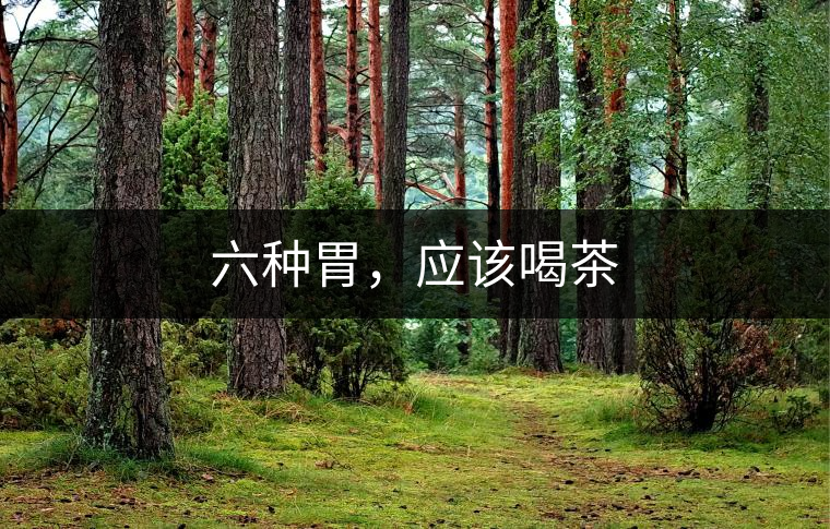 六種胃，應(yīng)該喝茶