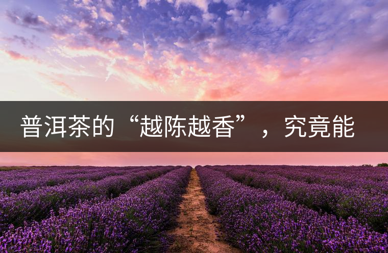 普洱茶的“越陳越香”，究竟能“陳”多久