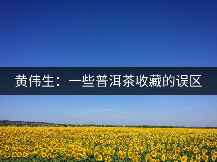 黃偉生：一些普洱茶收藏的誤區(qū)