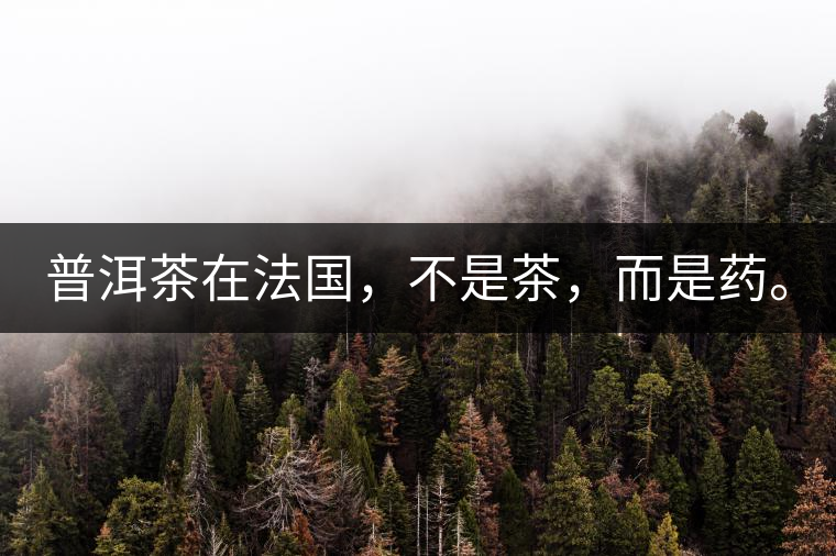 普洱茶在法國，不是茶，而是藥。