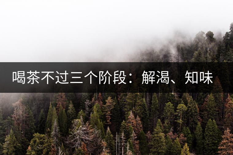 喝茶不過三個(gè)階段：解渴、知味、怡情