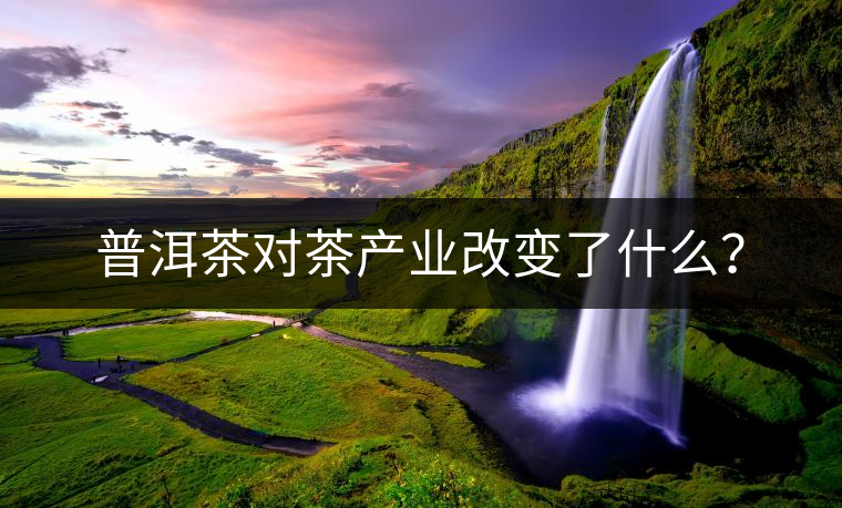 普洱茶對茶產業(yè)改變了什么？