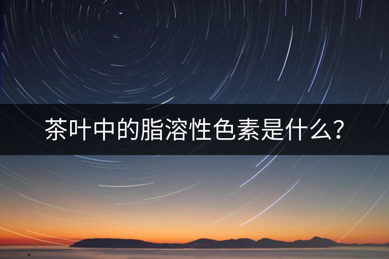茶葉中的脂溶性色素是什么？