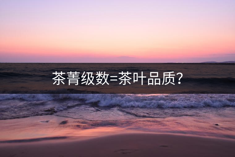 茶菁級數(shù)=茶葉品質？