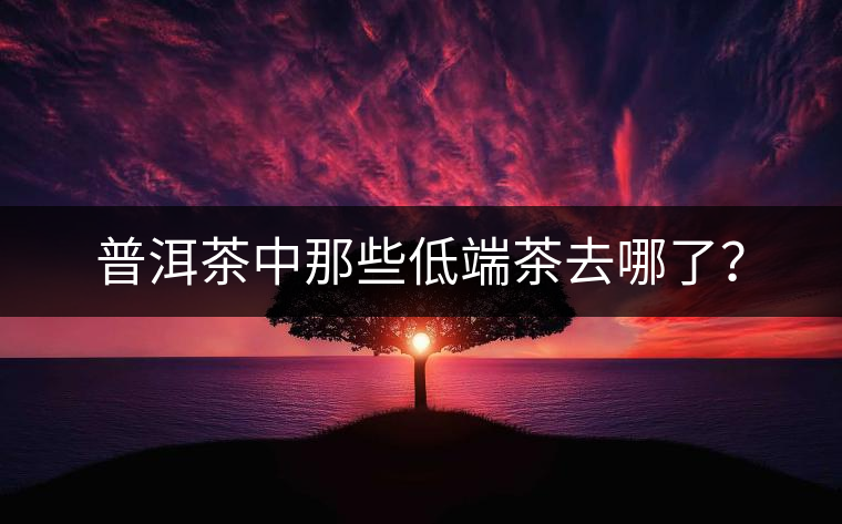 普洱茶中那些低端茶去哪了？