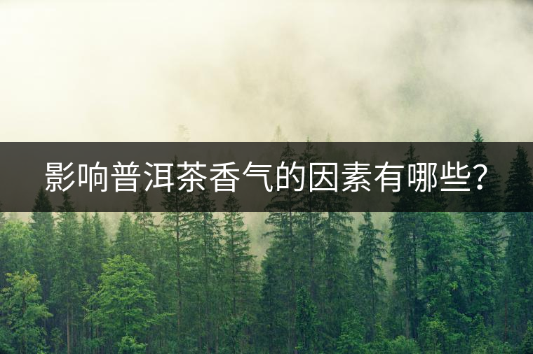 影響普洱茶香氣的因素有哪些？