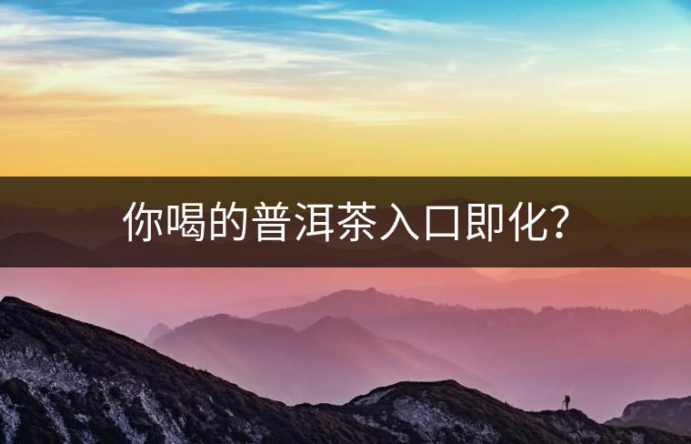 你喝的普洱茶入口即化？