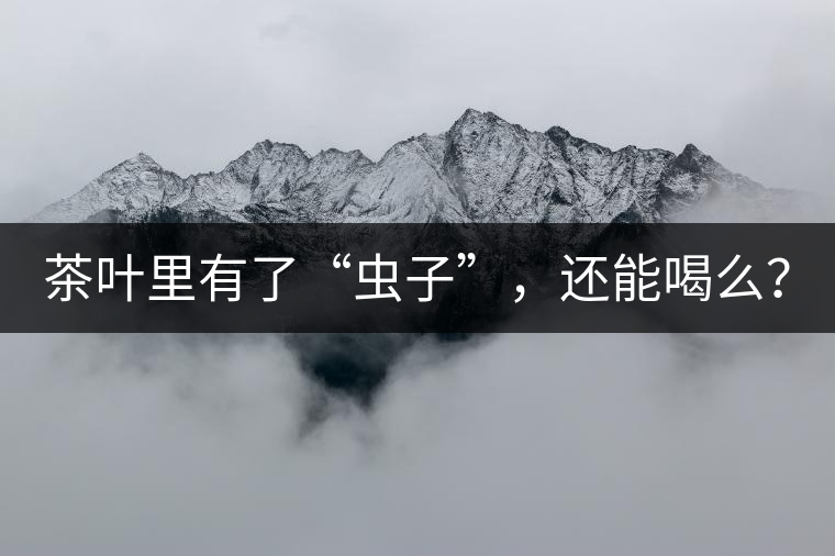 茶葉里有了“蟲(chóng)子”，還能喝么？