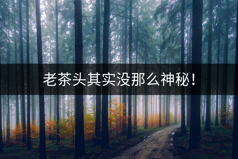 老茶頭其實(shí)沒(méi)那么神秘！