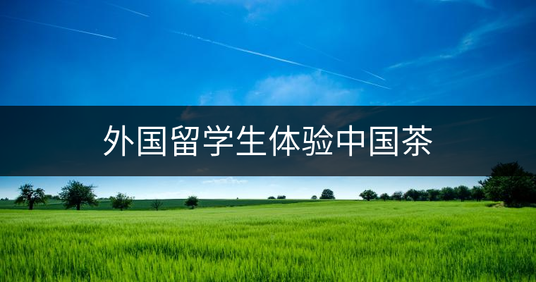 外國留學生體驗中國茶