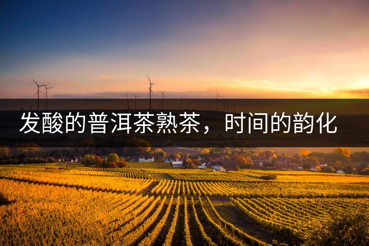 發(fā)酸的普洱茶熟茶，時間的韻化會讓它驚艷無比！