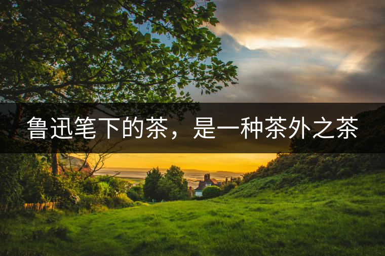 魯迅筆下的茶,是一種茶外之茶 魯迅筆下的茶,是一種茶外之茶