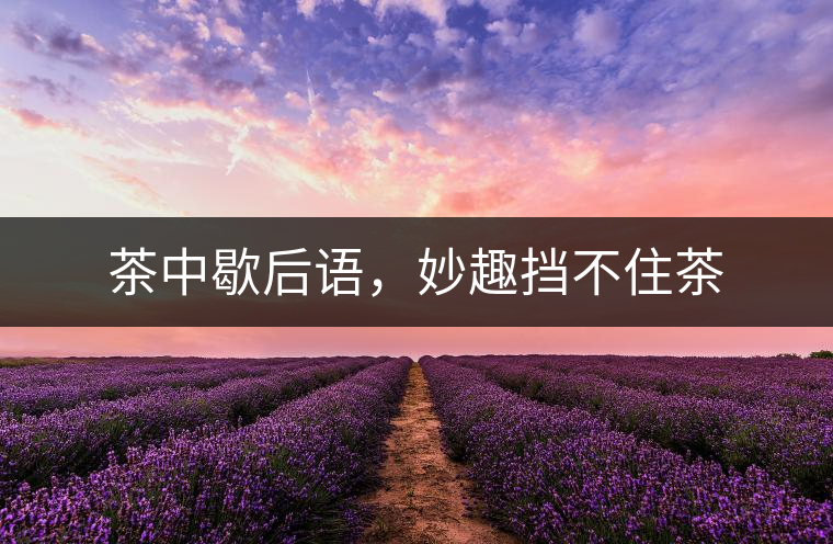 茶中歇后語，妙趣擋不住茶