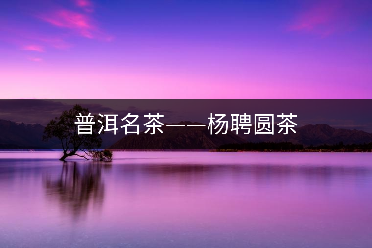 普洱名茶——楊聘圓茶