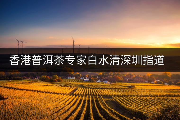香港普洱茶專家白水清深圳指道普洱茶收藏