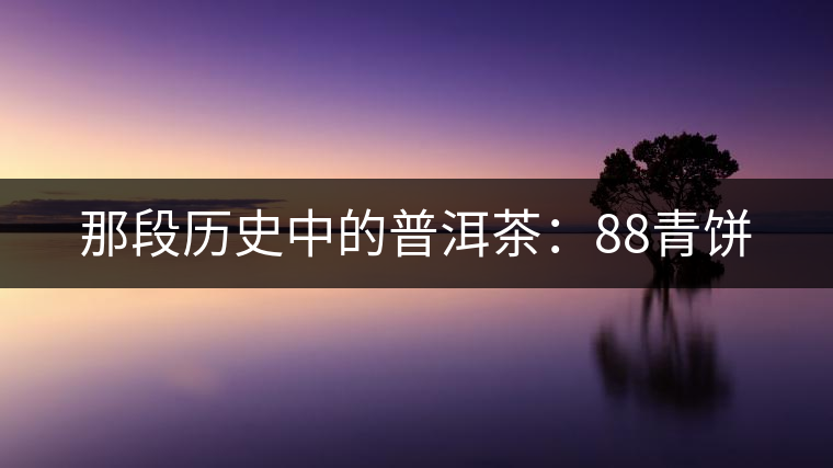 那段歷史中的普洱茶:88青餅 那段歷史中的普洱茶:88青餅