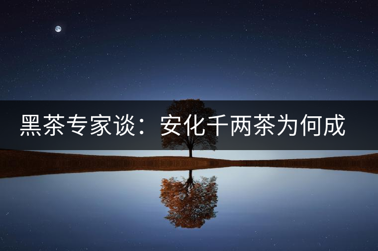 黑茶專家談：安化千兩茶為何成“世界茶王”？
