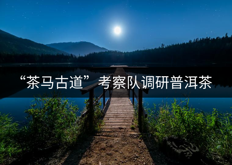 “茶馬古道”考察隊(duì)調(diào)研普洱茶文化 “茶馬古道”考察隊(duì)調(diào)研普洱茶文化