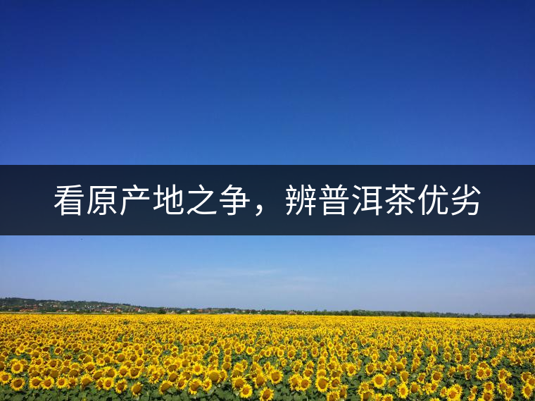 看原產(chǎn)地之爭(zhēng)，辨普洱茶優(yōu)劣