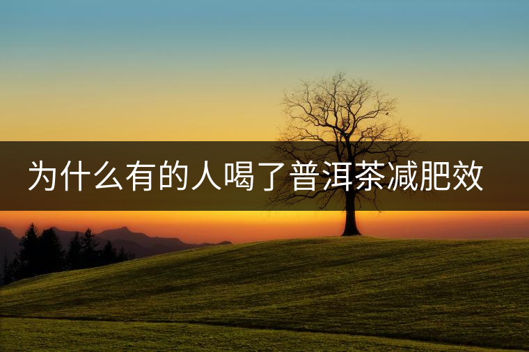為什么有的人喝了普洱茶減肥效果不明顯呢？