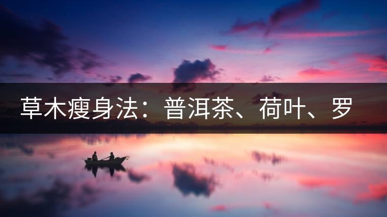 草木瘦身法：普洱茶、荷葉、羅漢果