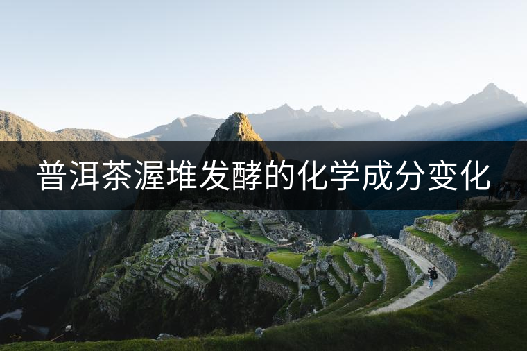 普洱茶渥堆發(fā)酵的化學成分變化