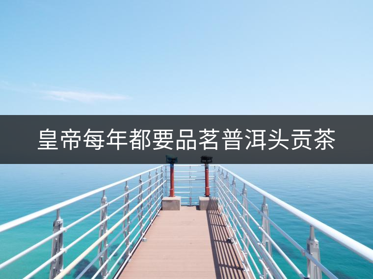 皇帝每年都要品茗普洱頭貢茶 皇帝每年都要品茗普洱頭貢茶