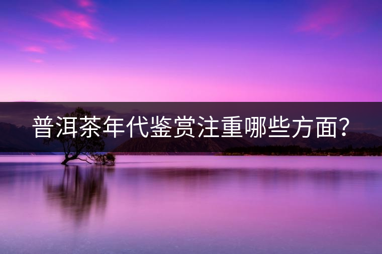 普洱茶年代鑒賞注重哪些方面？