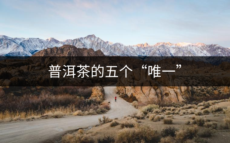普洱茶的五個“唯一”