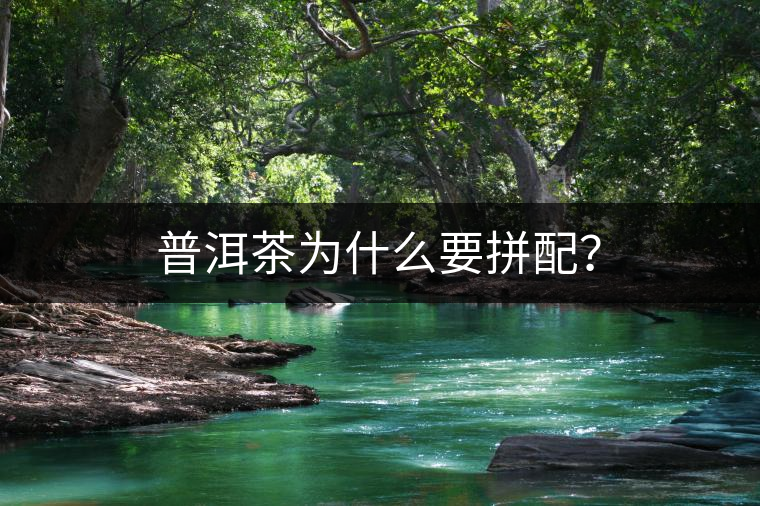 普洱茶為什么要拼配？