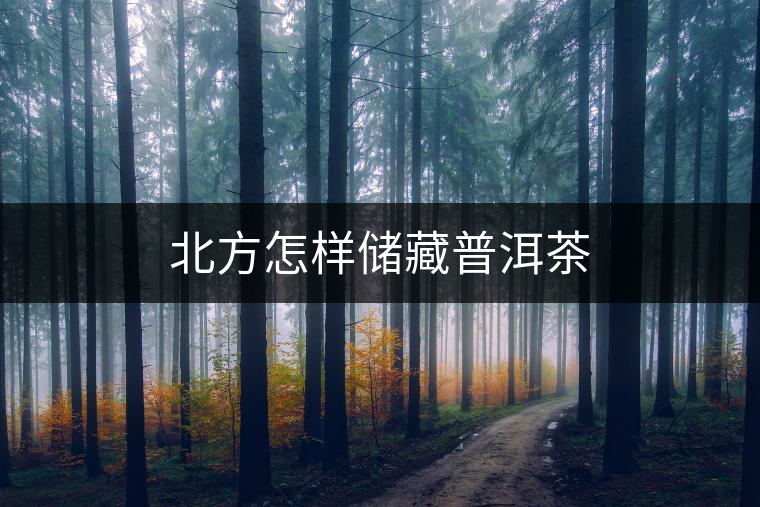 北方怎樣儲藏普洱茶 北方怎樣儲藏普洱茶